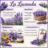 Oli Essencial de Lavanda (15ml)